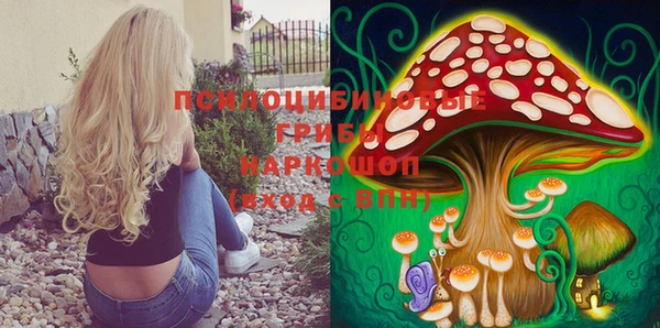 таблы Бородино