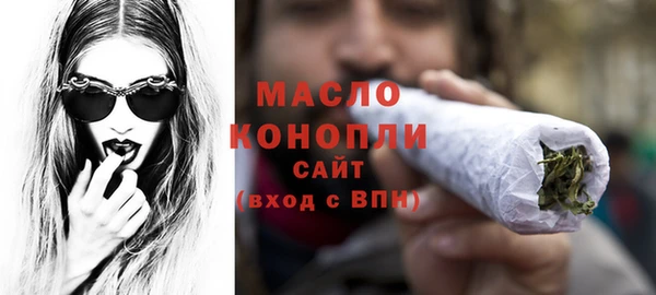 таблы Бородино
