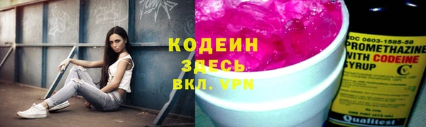 таблы Бородино