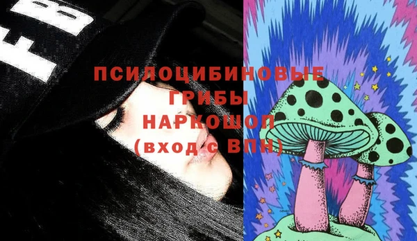таблы Бородино