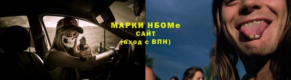 таблы Бородино